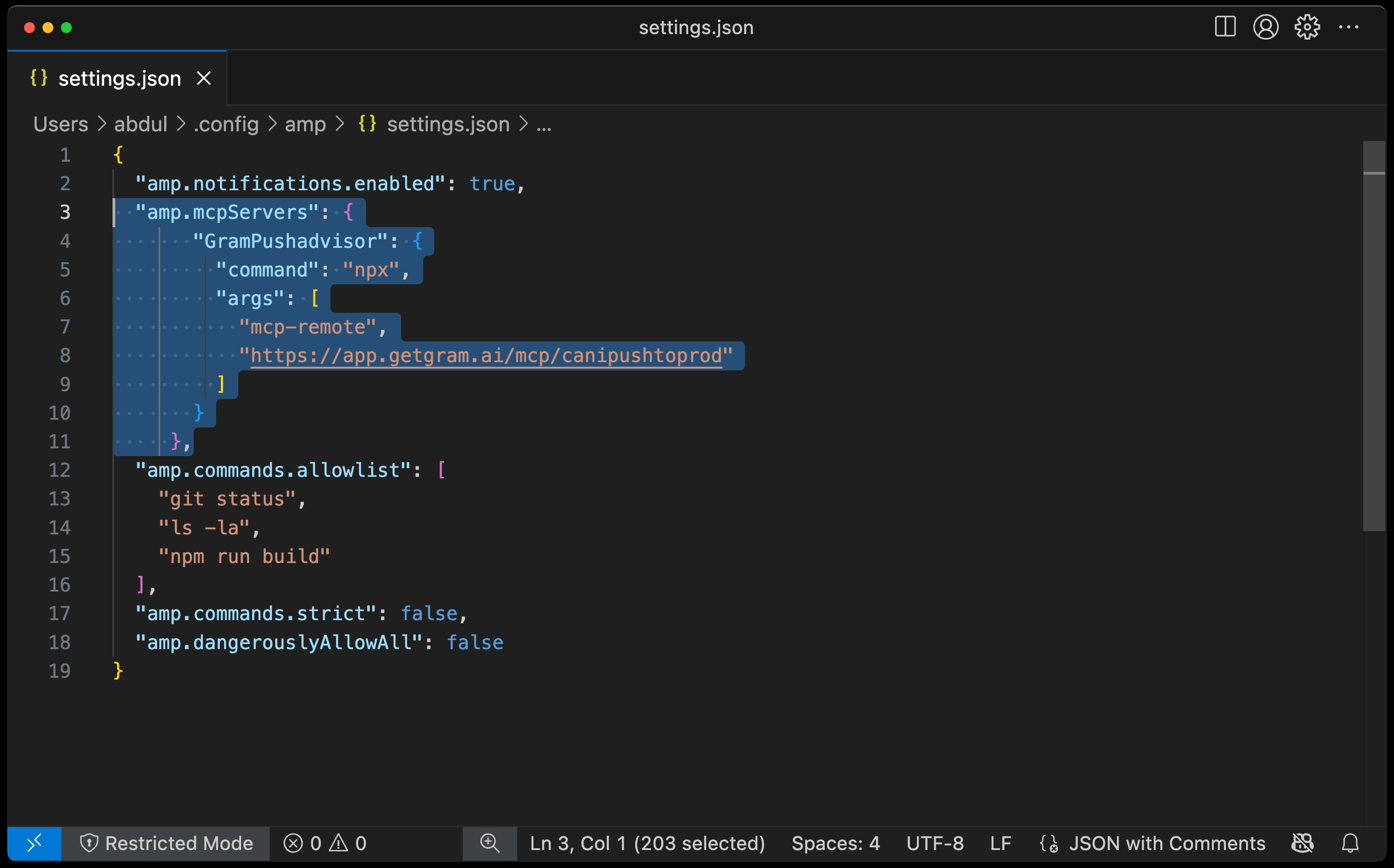 Screenshot showing the Amp CLI settings configuration